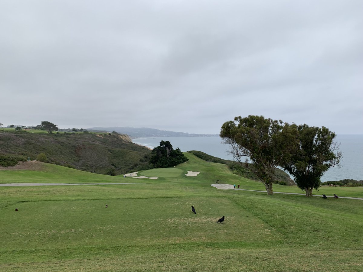dpitt4's tweet photo. @golfcourses101 Torrey Pines??  Wolf Creek in Mesquite, NV was outstanding for visuals. https://t.co/W9svPvbkGr