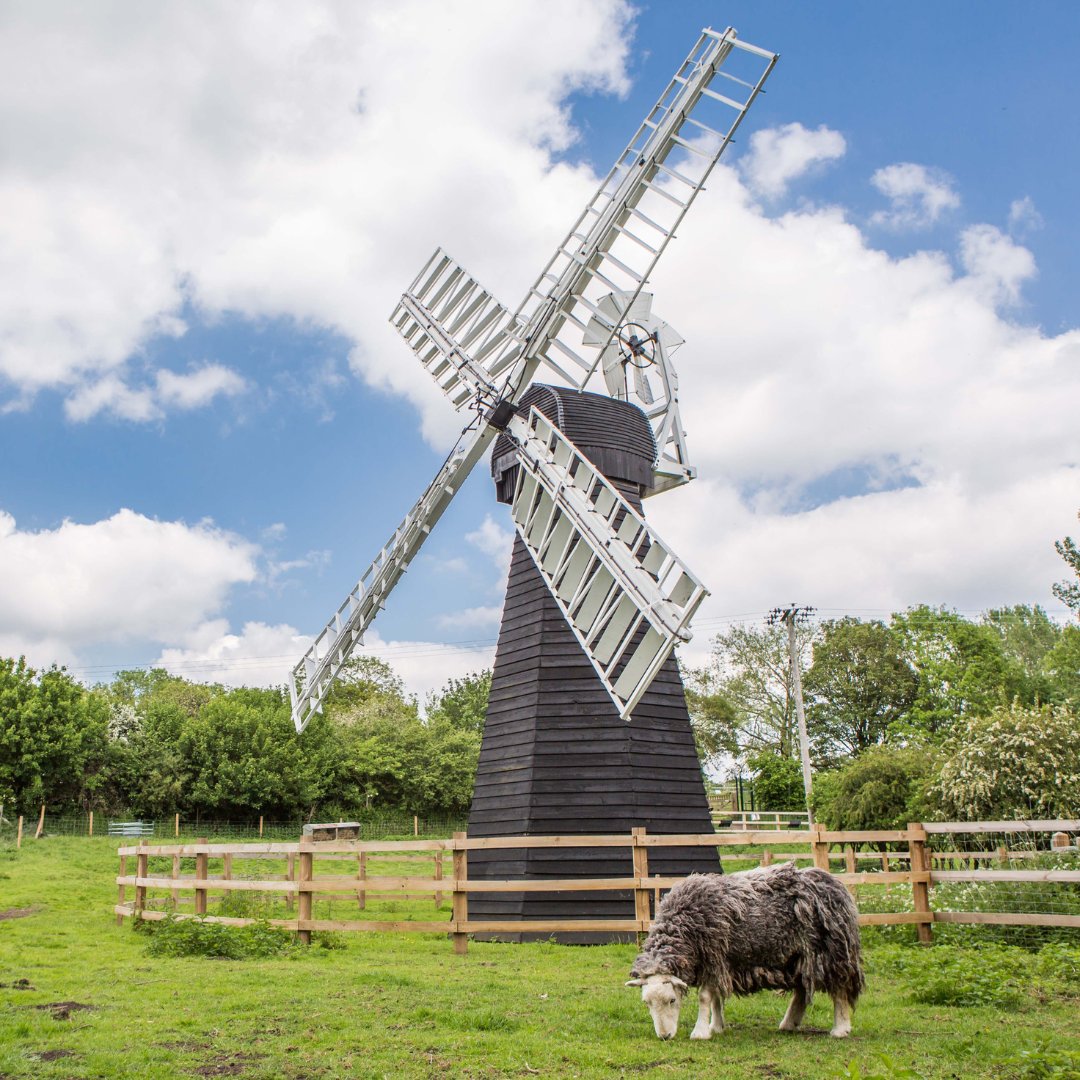 FoodMuseumUK's tweet image. We're open on Mondays during the summer holidays! 🌞

This gives you another chance to catch our windpump tour, now on Mondays &amp;amp; Saturdays, &amp;amp; learn more about our majestic Victorian #windpump from Eastbridge, Suffolk

Learn more about our daily talks: foodmuseum.org.uk/events/daily-t…