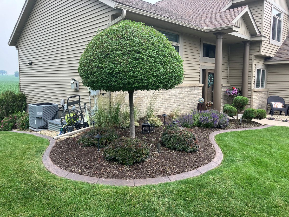 qualitycurbing's tweet photo. Let us transform your landscaping with our expert curbing techniques and bring your outdoor space to life! 🌳🌸🌼 #LandscapingArt #QualityLandscapeCurbing #landscape #curbing #HastingsMN https://t.co/rJbEQEduda