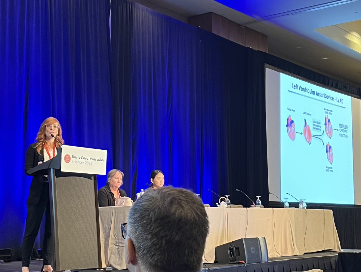 Session 4 #BCVS23 going strong. Several interesting perspectives on cardioprotection and remodeling. Currently hearing about the exciting work of @SarahMarsing
