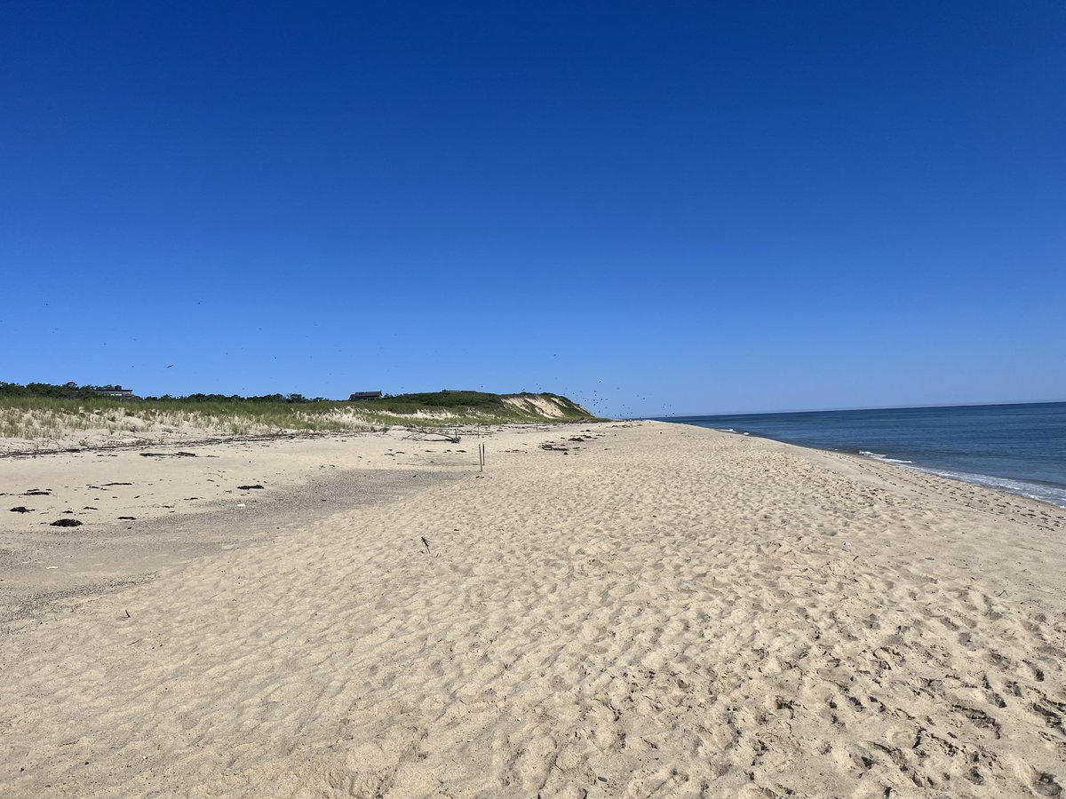 TrynSlp's tweet photo. @MaikenScott I am on Cape Cod with the same idyllic weather! https://t.co/mjwJpf5MjY