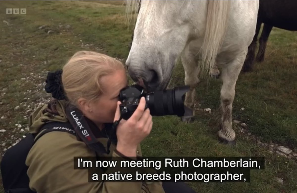 For those of you who missed Each nan Eilean (all about Scotland’s native horses) it’s back on iPlayer for 30 days. My interview with the Rum highland ponies is about half way through 😁🐴 bbc.co.uk/iplayer/episod…