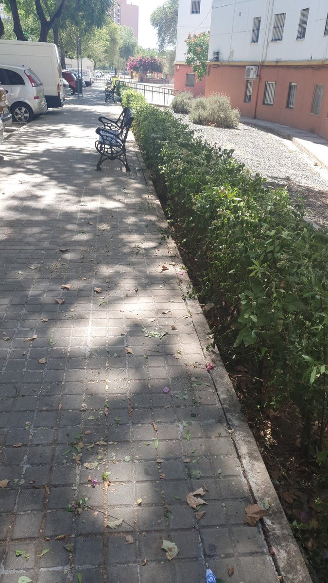 2014bdacarmen's tweet photo. Hoy están podando los arriate y adecentando los alrededores.
Bien hecho, hacía falta. https://t.co/OWP2IVQ7X4