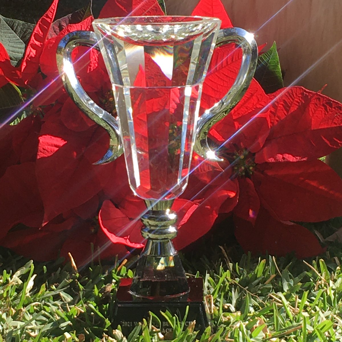 PuttingScore's tweet image. You want this?  nationalputtingscore.com