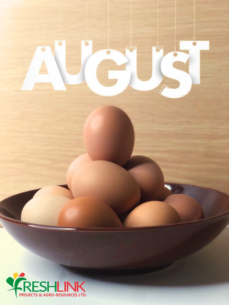 ng_poultryplus's tweet photo. Happy New Month.. May your August be filled with eggxtraordinary blessings.. 
#freshlink 
#august https://t.co/FmdkobnlRC