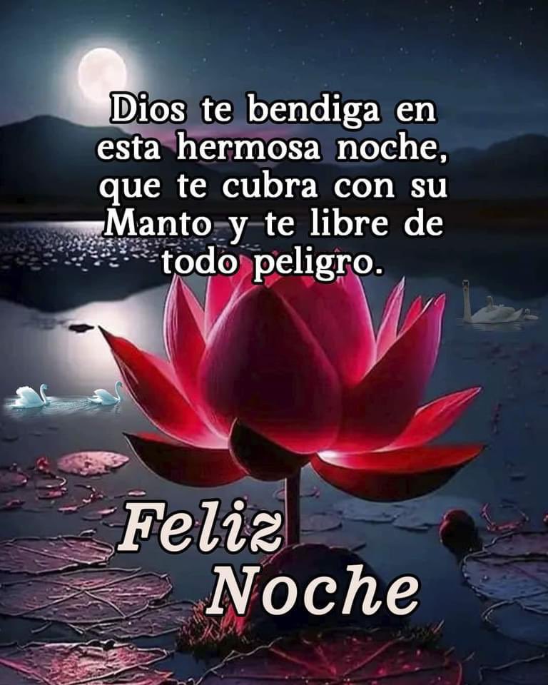  Javier Gil tweet media