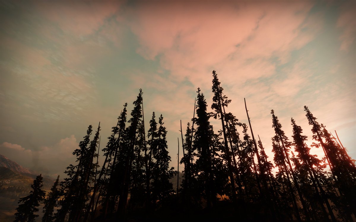 Destiny_Photos's tweet photo. The skies of the EDZ remind us of a home once lost, now remembered. https://t.co/sxWslFLTJp