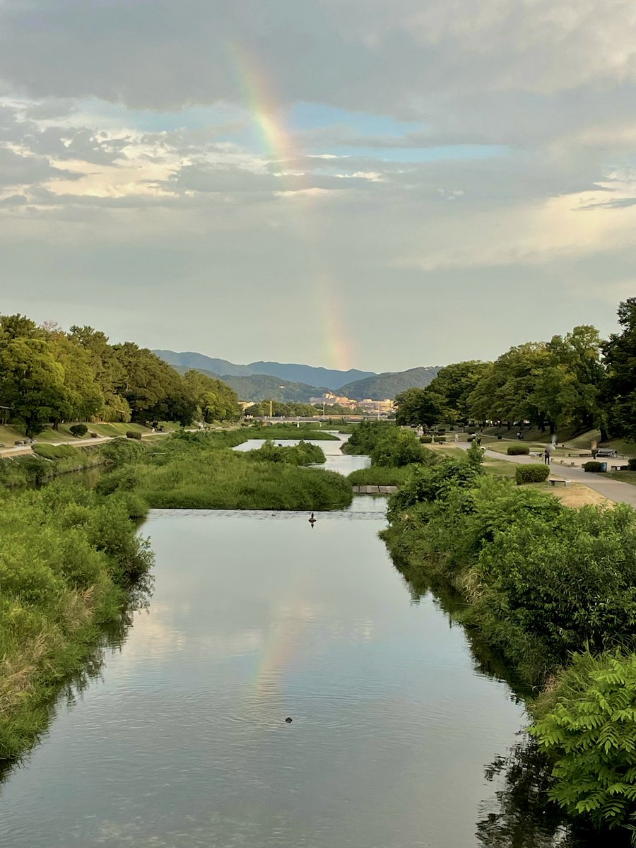 kamokamokai's tweet photo. 二重のくっきりした虹🌈だったのに賀茂川に着いたら地味になっていた　突風が吹いたりバラっと雨が降ったり忙しないお天気（サギぃ） https://t.co/VtCyMQaQ81