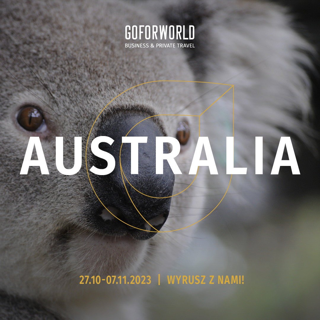 goforworld tweet media