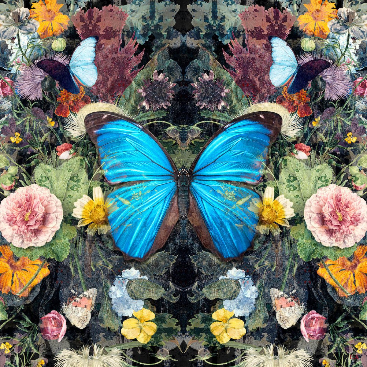 The butterfly is a symbol of metamorphosis

Art by <a href="/eviAntonioArt/">Evi Antonio Art</a>