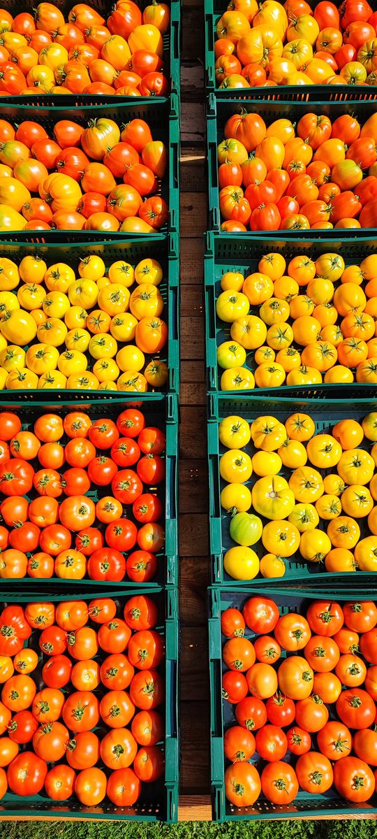 Daudz un garšīgi!🙂