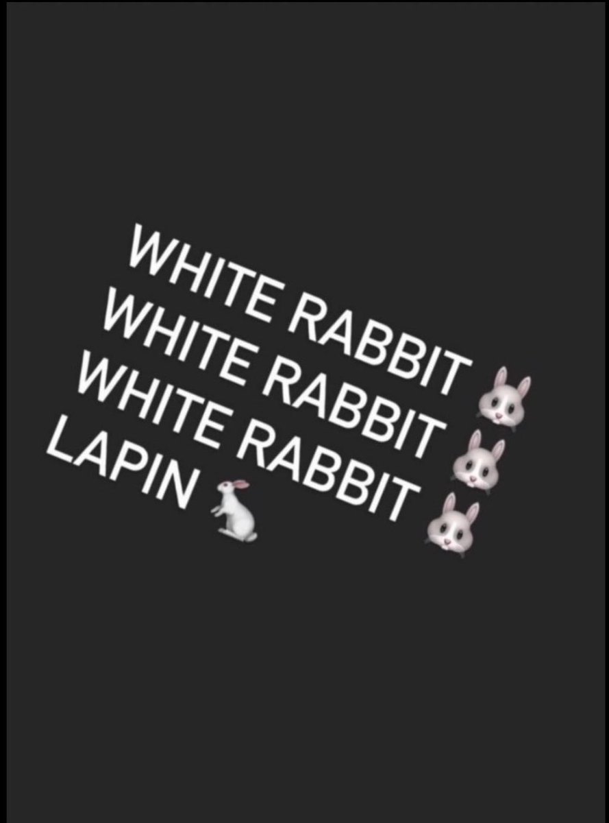 patrickhere's tweet photo. White ๐ white ๐ white ๐ lapin ๐ฐ #firstofthemonth #firstofaugust #August1st #August1 https://t.co/6DAm4tNPpX