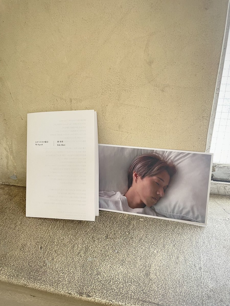 9月2日までやっているから、また足を運びたい。見る季節や時間帯が異なれば、優しさや安心感への反応の仕方にも変化があるんじゃないかと思った。