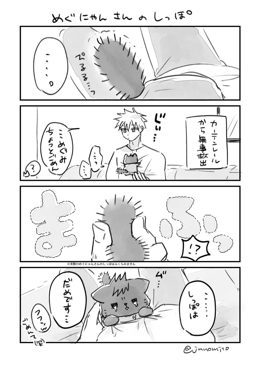 junomito's tweet photo. めぐにゃんさんの しっぽ
※じっさいのしっぽはふくらみません https://t.co/GZ9UHrsXhD
