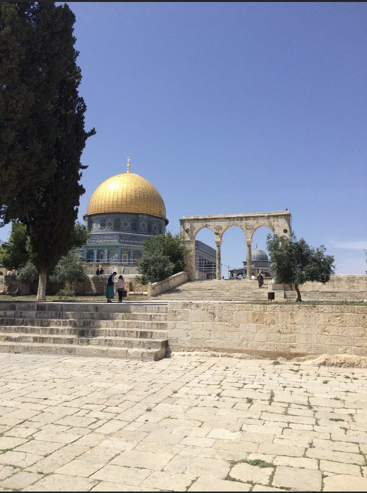 Son bir hafta kaldı  inşAllah!..
Ey Kudüs’üm!
Nazlı Çiçeğim!
Yine kavuşacağız Allah’ın izniyle!
Şimdiden yüreğim bir kuş mîsâlî…
@Nur_1071_Nur @EmineAy_00 <a href="/Tekin_Rumeysa_/">Tekin</a> <a href="/Rumysa_DURU/">Rumeysa DURU</a> @m_elifsolmaz <a href="/RumeysaTelci/">rum</a>