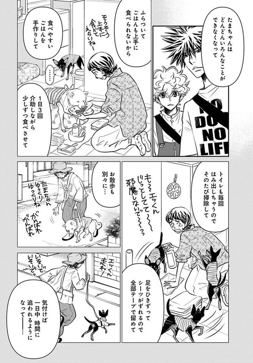 🔔更新情報🔔  『DOG SIGNAL』(作:みやうち沙矢@DogSignal) 第44話③を公開しました! 平等にかまっていたつもりだったけれど--☁どうぞお楽しみください!   #コミックウォーカー #コミックブリッジ #DOGSIGNAL