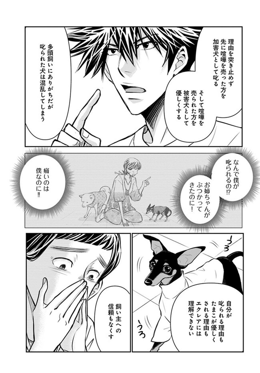 🔔更新情報🔔  『DOG SIGNAL』(作:みやうち沙矢@DogSignal) 第44話③を公開しました! 平等にかまっていたつもりだったけれど--☁どうぞお楽しみください!   #コミックウォーカー #コミックブリッジ #DOGSIGNAL