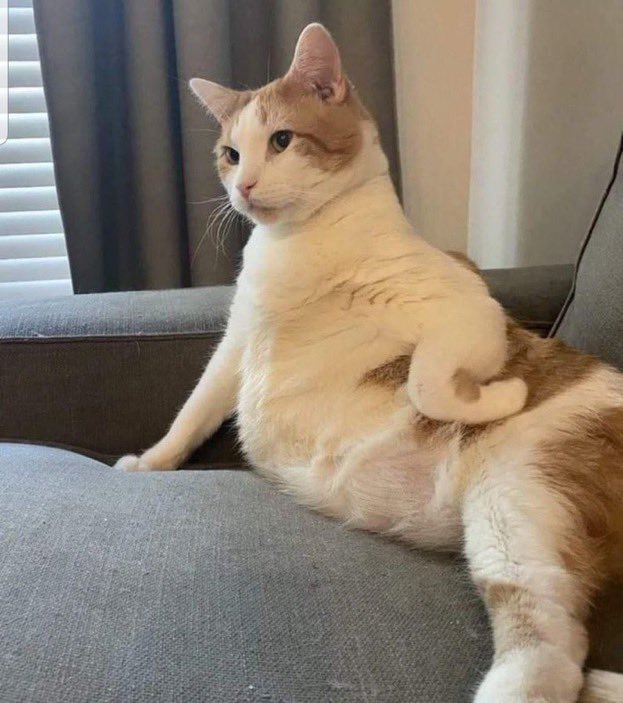 POV when you've been waiting patiently for your food and you finally see the waiter coming over with a plate only for him to walk straight past your table...