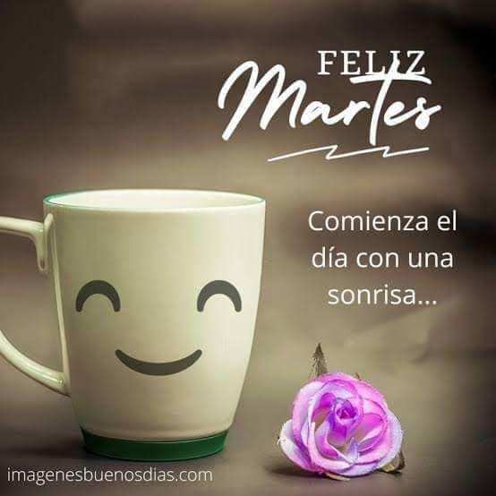 GuaraComuniK's tweet photo. Feliz martes #1agosto  y bendiciones para todos y todas 
@edalge 
@mismaroja 
@MissIzquierda 
@MemaEmma53 
@quiskillosa 
@davidenfer 
@Tripeareslomio 
@_Karenpnt 
@AlexaMargRevo 
@alejabolivarian https://t.co/PLRzrxP9OF