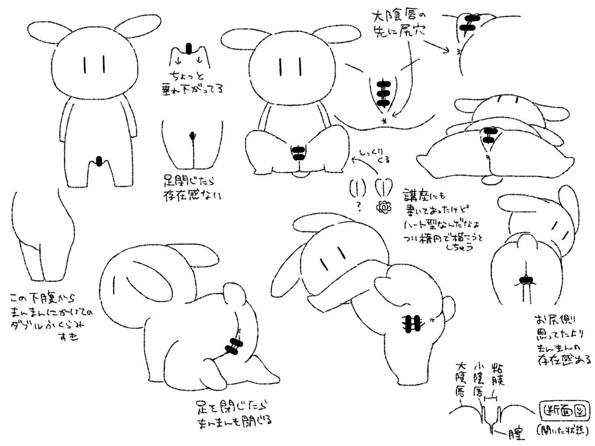 【R18/資料】いろんな角度のまんまん練習うさぎ🐰 