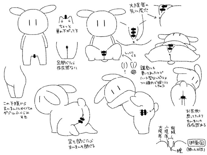 【R18/資料】いろんな角度のまんまん練習うさぎ🐰 