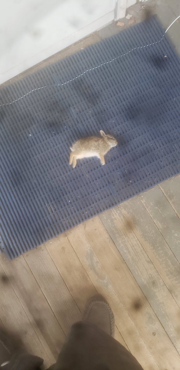 AbareTimothy's tweet photo. What  shadow brought me this morning not sure how to feel about it 🤔 https://t.co/VPR4VRdCru