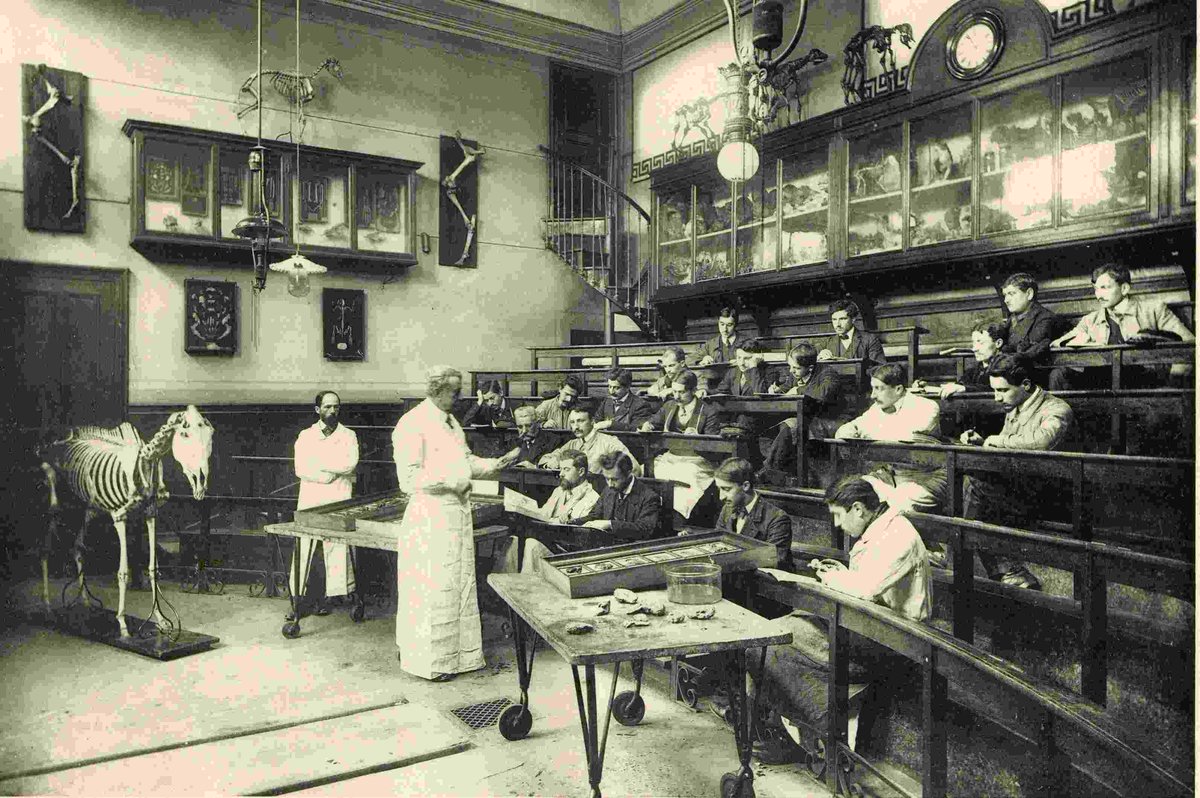 ACTUALITÉ - Le diplôme de Docteur vétérinaire à 100 ans !
➡️La loi “autorisant les École Nationales Vétérinaires à délivrer un diplôme de docteur vétérinaire” fête ses 100 ans le 31 juillet 2023.
➡️Plus d'infos : vu.fr/qvCp
#ENVF <a href="/oniris_officiel/">Oniris</a> <a href="/VetAgroSup/">VetAgro Sup</a>