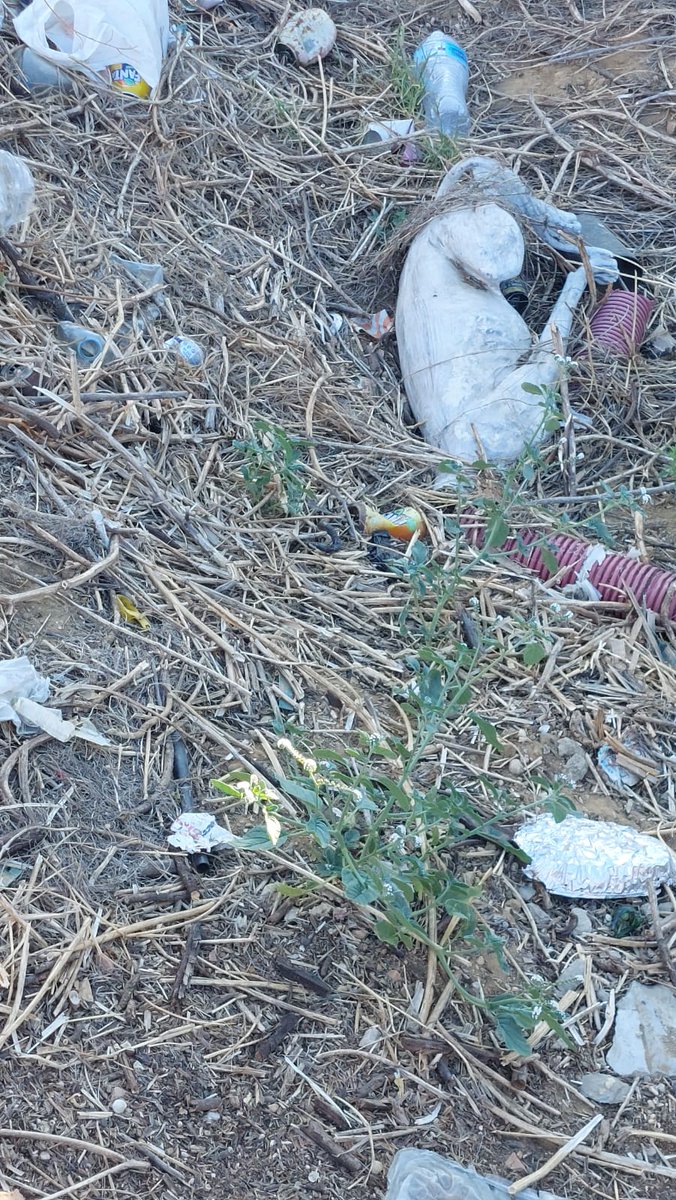 up_person's tweet photo. Copio 😭😭😭

#MuyUrgente. Estos cachorros corren MUCHO peligro. Ya ha muerto uno. 

Se han vuelto invisibles. 
Por caridad un bebé por #Asociación 🙏🙏🙏

Nadie los puede ayudar??

Pueblo de #Huelva

➕➕ Información en contacto (solo wasap) 
 ☎️722134197 https://t.co/o6rvj3nk83