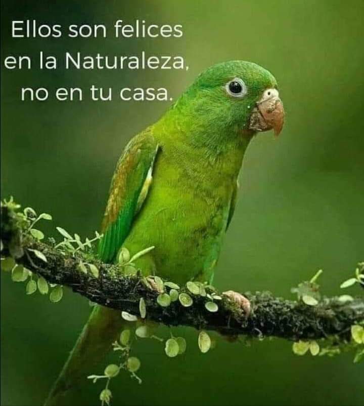 En el día internacional de la Madre Tierra disfrutamos vivir en ella con Amor, Alegría, Armonía y Paz. Los humanos somos los responsables de sostener la vida de nuestra Pachamama. Felices de vivir en este, nuestro Paraíso. <a href="/DiazCanelB/">Miguel Díaz-Canel Bermúdez</a> <a href="/emimundo/">Emimundo</a> <a href="/milagrosyanet83/">@milagrosyanet83</a> @Rog