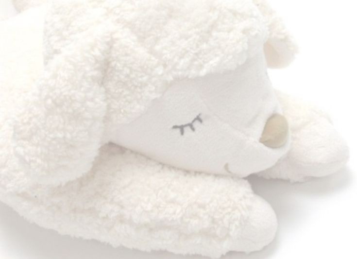 ᐢ..ᐢ ࣪˖ ray ☁️ ִֶָ ࣪ 𑊢 tweet media