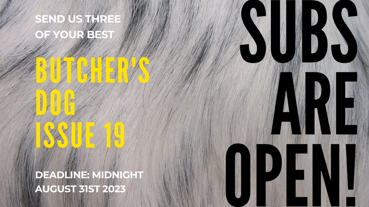 And they're off! Submissions to issue 19 are now open. Send us three of your best unpublished poems. Deadline: midnight, August 31st 2023. butchersdogpoetry.submittable.com/submit/269318/…