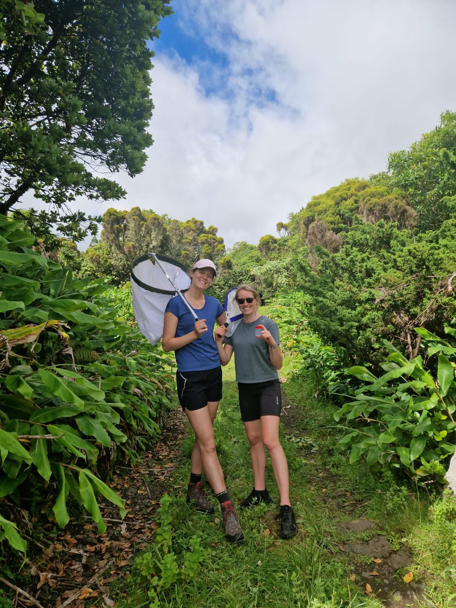 Lotta Schultz tweet media