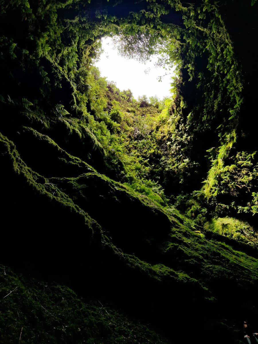 Lotta Schultz tweet media