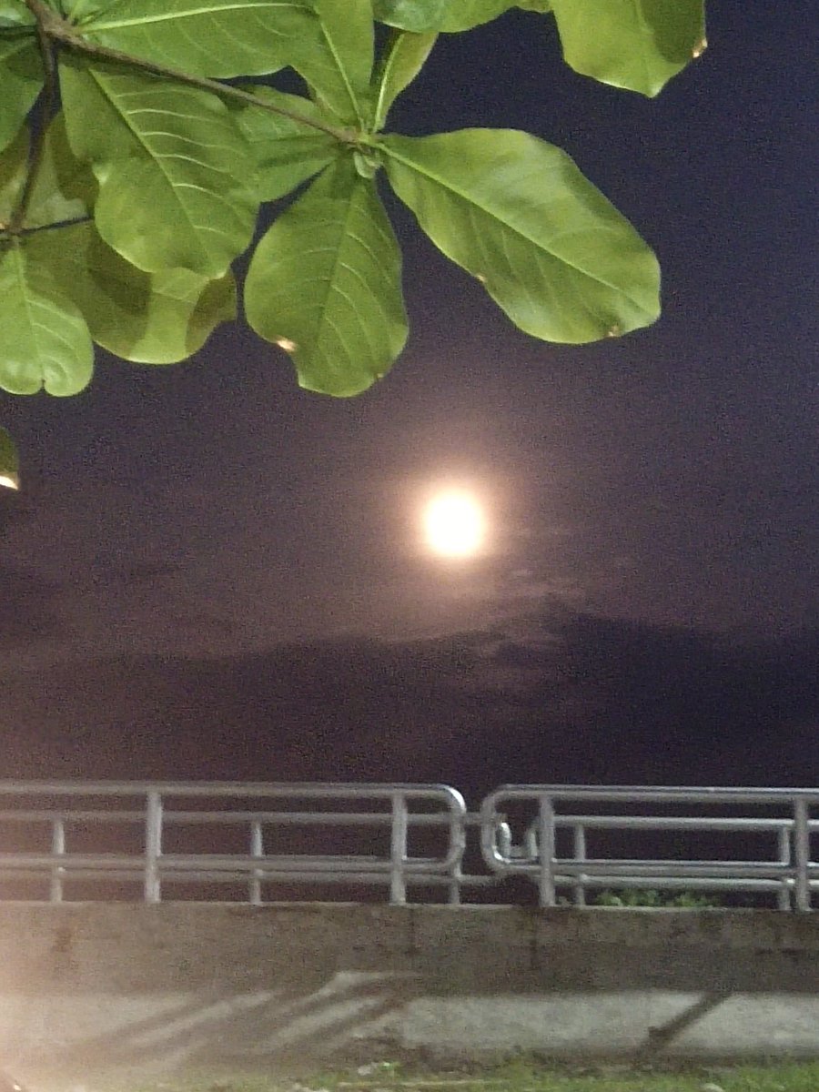 MelvinSermonit's tweet photo. The moon is like a problem, one day it will be gone when the sun rises up
#altertacloban
#macarthurboulevard https://t.co/CC0xNKpea0