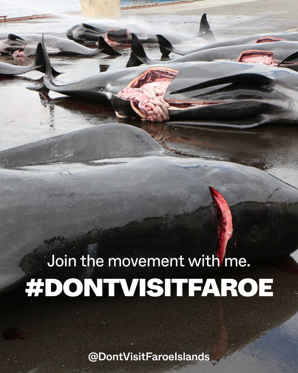 #StopTheGrind
#StopTheKillings
#NoTourism
#BoycottFaroeIsland
#DontBuyFaroeFish
#NoCruizeship
#SuspendTrade
#DontVisitFaroe
#NoMoreHunts