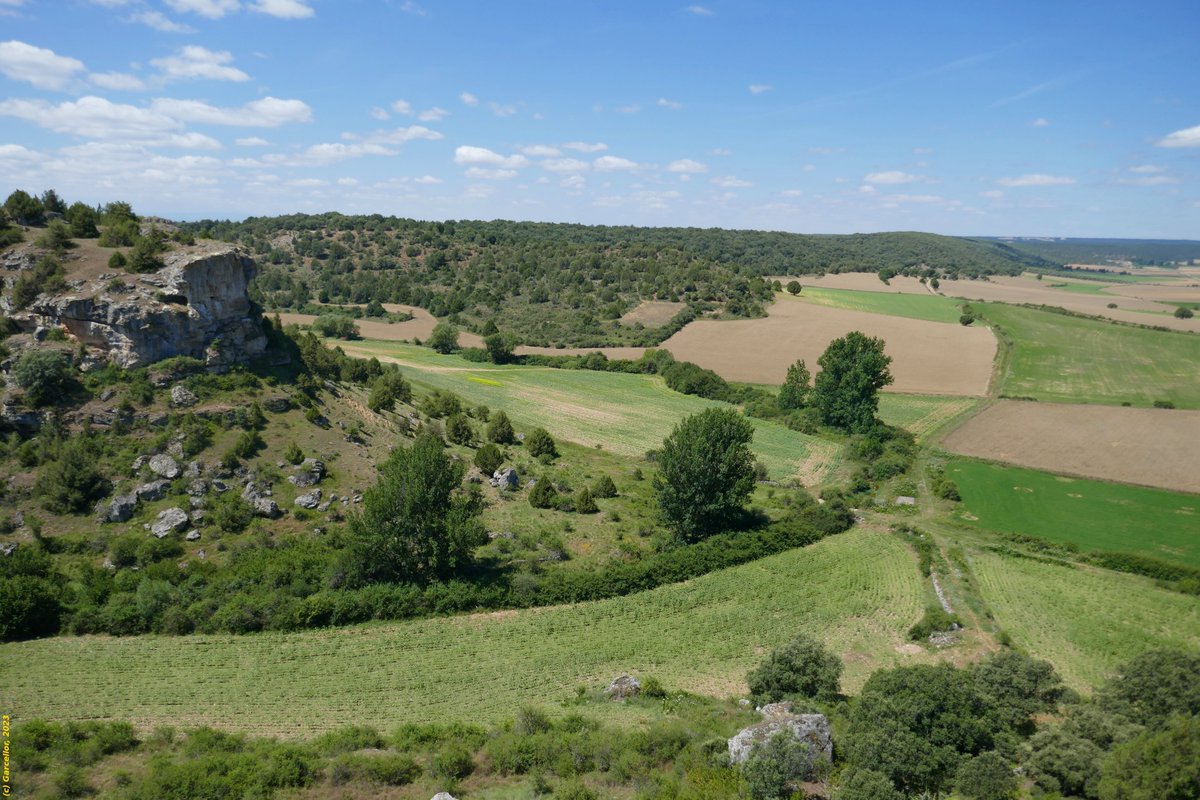 LorenzoGarciaCe's tweet photo. Vista panorámica desde el castillo de Calatañazor, Soria.
Julio de 2023.
#garcellor #paisajes #panoramicas #calatañazor #paisajesenverano https://t.co/5Wa0iZ9kAr