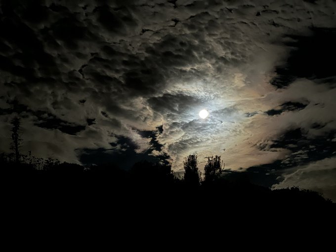It&rsquo;s 3.45am here and I just went outside and took these #SuperMoon https://t.co/RiiEqUSJYa<a href="/tag/supermoon"class="tags"><span>#supermoon</span></a>