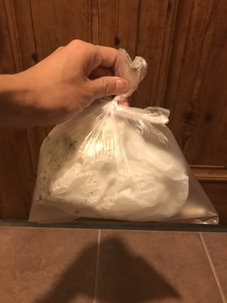 utsk10260107's tweet image. 今日の帰り道は白めのごみ多め！
#ごみ拾い　#pirika