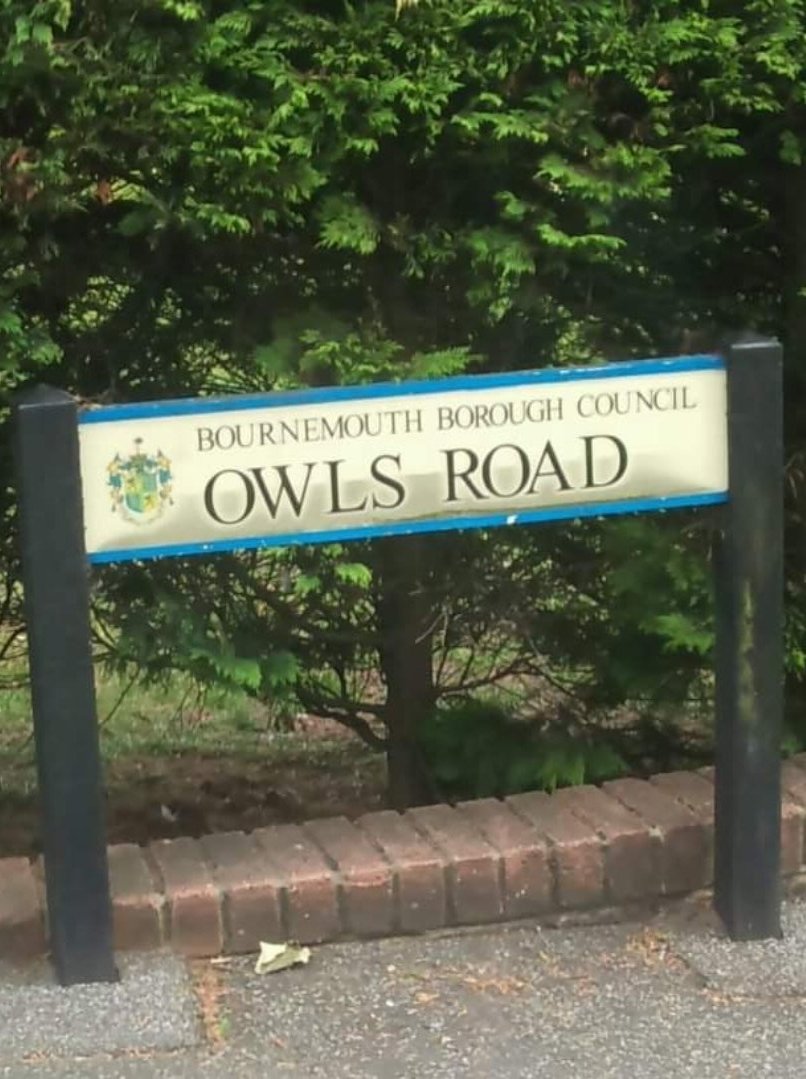 looby15's tweet photo. @PoultonOwl https://t.co/FoULCzW6nR