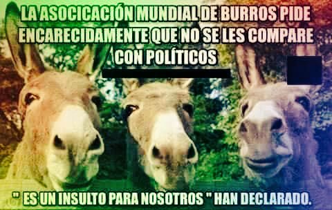 ManuelRondan1's tweet photo. https://t.co/t6NR2mVXmt