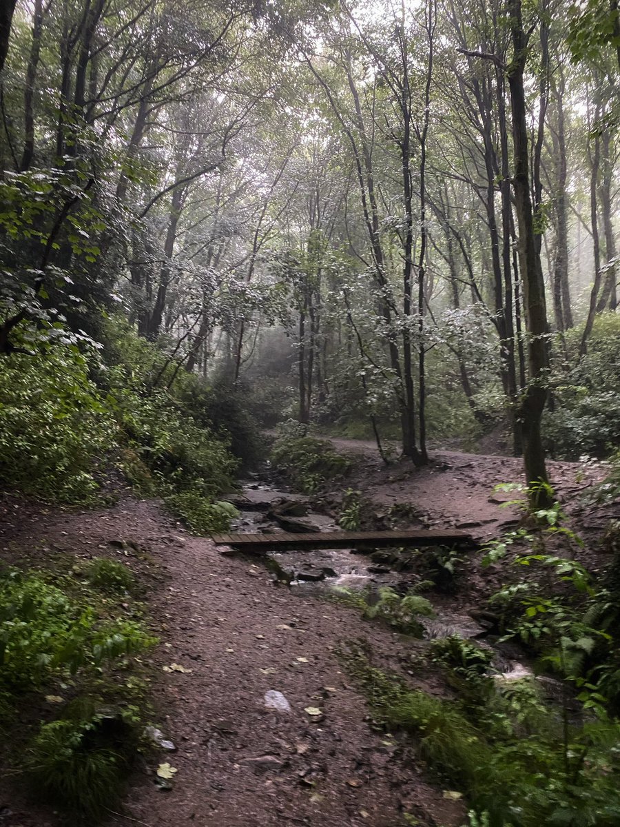 joymarie_h's tweet photo. #RainyDay #rainywalks #gooutmore🌿🌲🌳🪵🍄🍁🍂 https://t.co/2PI1L4XV3w