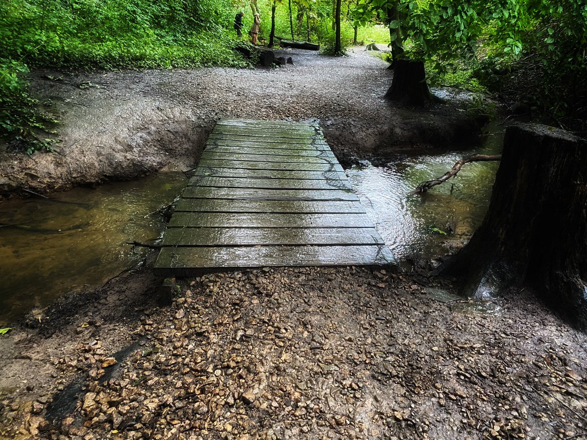 joymarie_h's tweet photo. #RainyDay #rainywalks #gooutmore🌿🌲🌳🪵🍄🍁🍂 https://t.co/2PI1L4XV3w