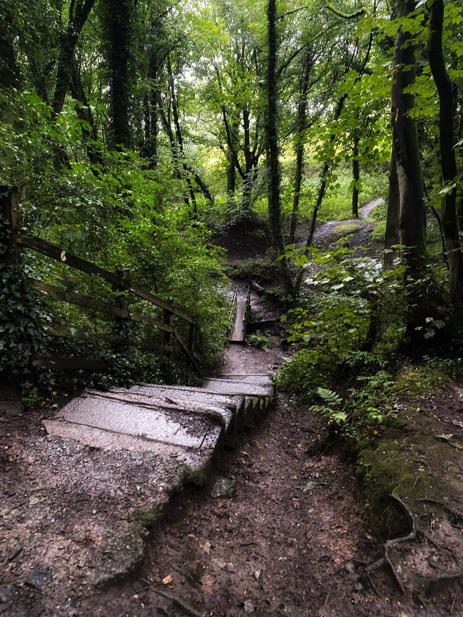 joymarie_h's tweet photo. #RainyDay #rainywalks #gooutmore🌿🌲🌳🪵🍄🍁🍂 https://t.co/2PI1L4XV3w