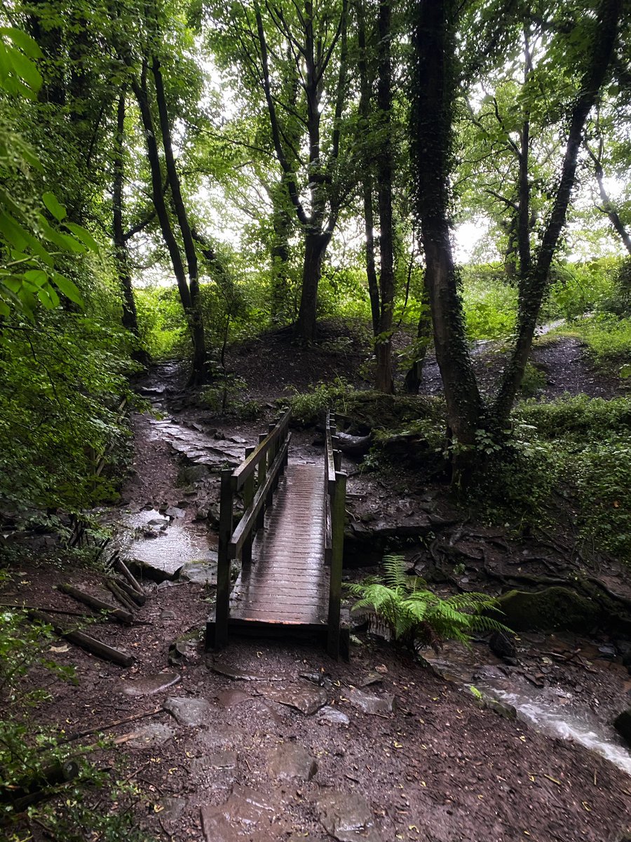 joymarie_h's tweet photo. #RainyDay #rainywalks #gooutmore🌿🌲🌳🪵🍄🍁🍂 https://t.co/2PI1L4XV3w