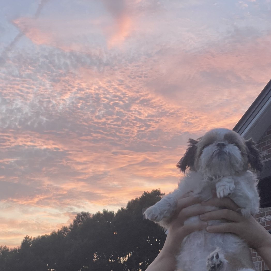 몽룡 뜨고 몽룡 지네
노을 빛에 슬퍼지네
몽룡 뜨고 몽룡 지네
그대 기억 또한 무뎌지네