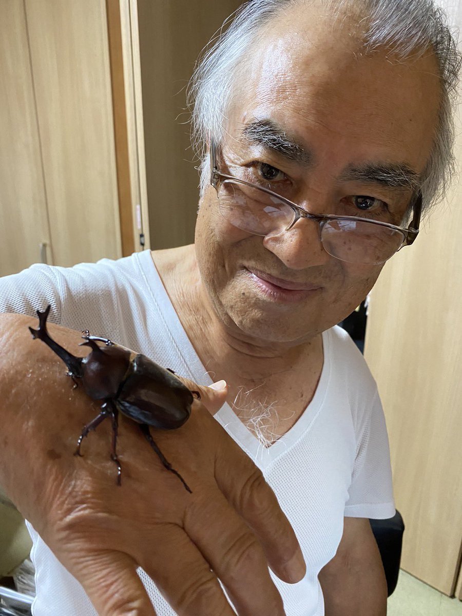 Dangero76404978's tweet photo. 家の近くの森で孫が捕らえたきたカブトとノコクワ。まだいるもんだなぁ。超完品で立派。虫飼うのとか日本だけらしいけど、これがジャパニーズ夏の風物詩じゃい！
※バナナ食わして元の場所リリースしました。
#国産カブトムシ
#73m
#形綺麗
#ノコギリクワガタ
#60mmup
#夏の風物詩
#シッコかけられた https://t.co/1xbfNIIicy