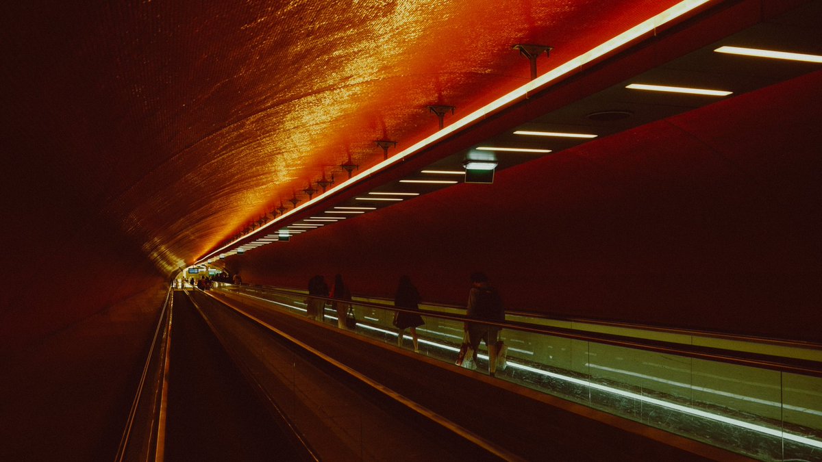 mjconrod's tweet photo. @vsco https://t.co/q7lU3NZrWb