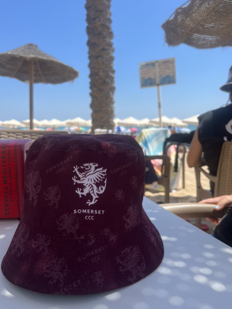 ben_hitch's tweet photo. Come on Somerset! From Spain #blackbird https://t.co/gXeMgHTqRu