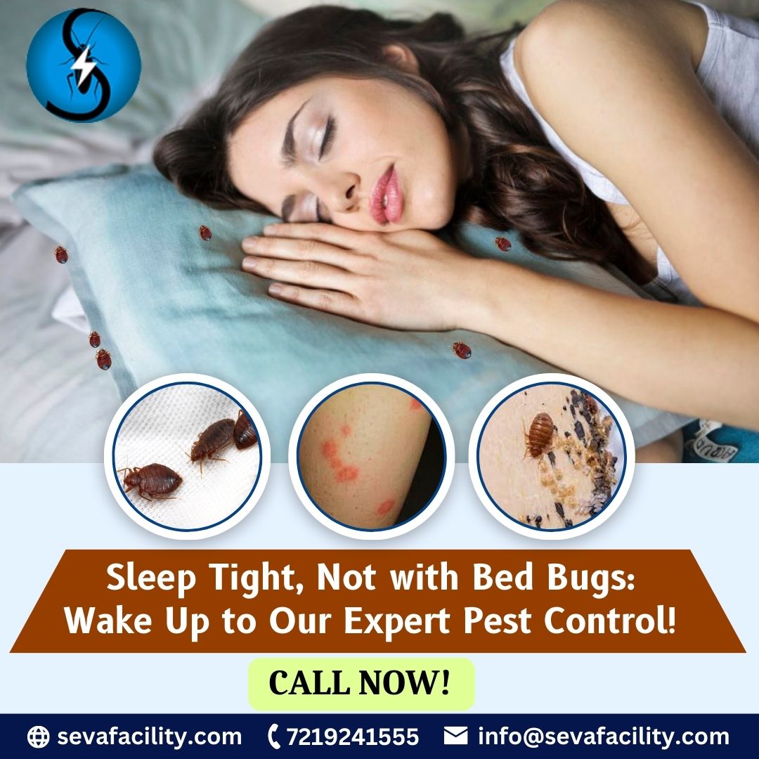 sevafacility111's tweet photo. Sleep Tight, Not with Bed Bugs: Wake Up to Our Expert Pest Control!
Dial 7219241555 
Visit us at https://t.co/ioNUYvsaKk
Email us at info@sevafacility.com
#SevaFacility #PestControl #Sanitization #Fumigation #Services #HeadOfficeIn #PuneMaharashtraIndia #UnbeatableServices https://t.co/tBGcVecBfn