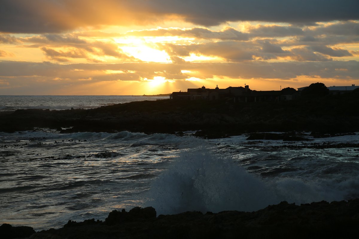 A5: Our oceans will be so much healthier! They will be thriving and we would have contributed to that meaningful change.

#MPAs #LetsTalkMPAs #MPADay